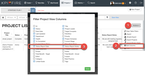 Screenshot displaying multiple data columns within a KPI report.