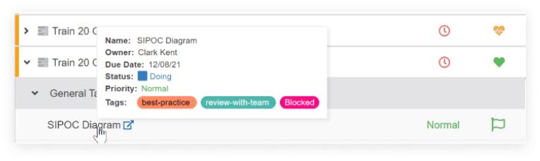 Project Timeline and Portfolio