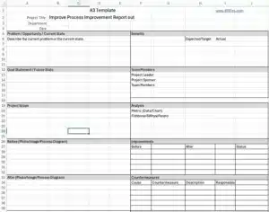 A3 Project Charter Template